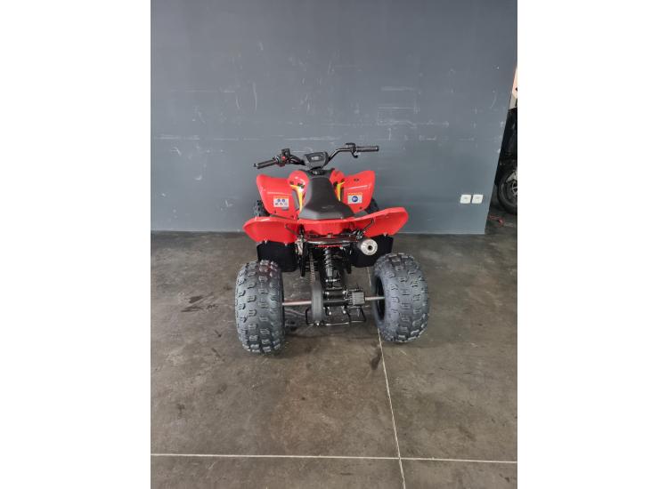 CF MOTO cforce 110 basic