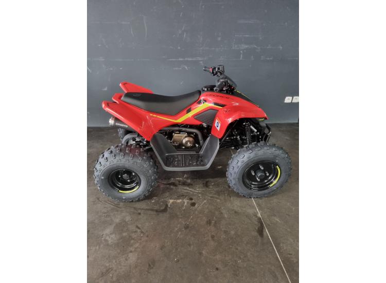 CF MOTO cforce 110 basic