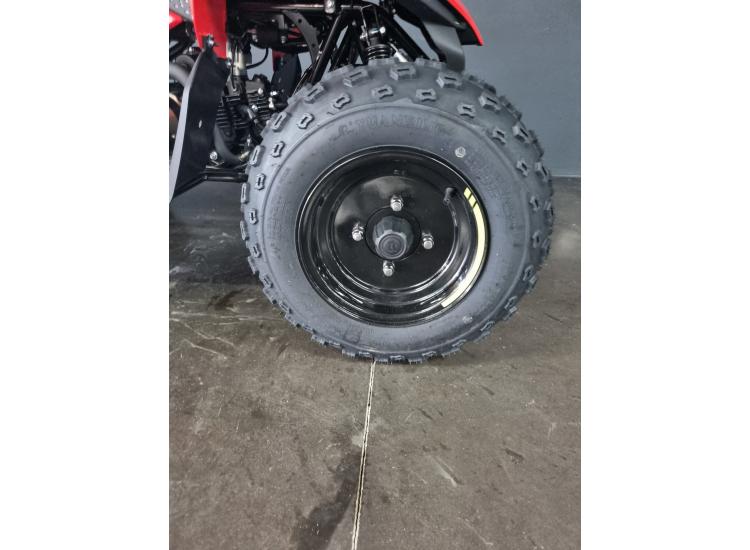 CF MOTO cforce 110 basic