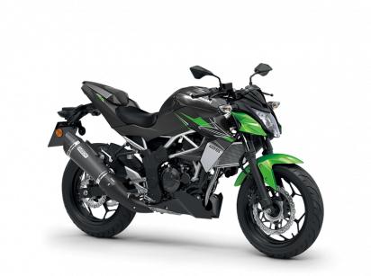 Z125 Performance Image de Z125 Performance